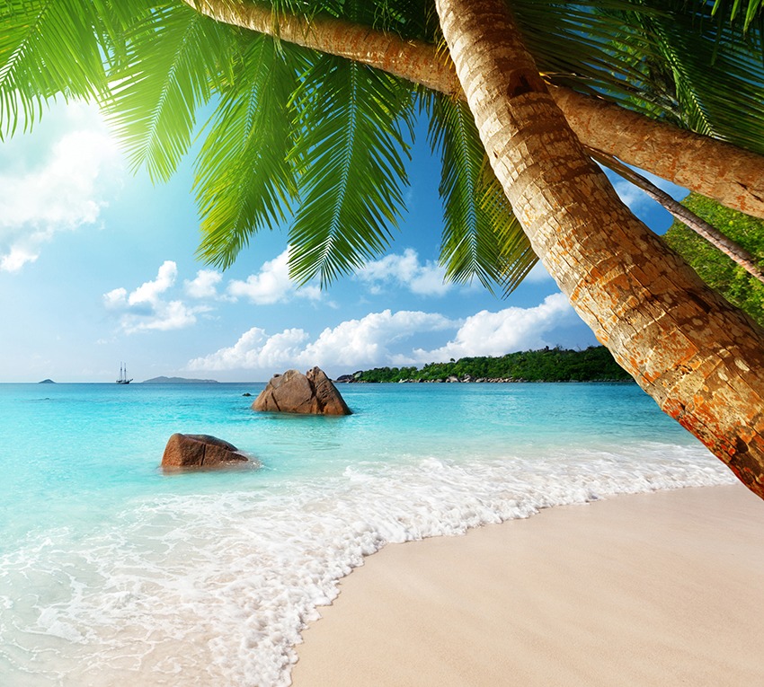 Райский остров картинки