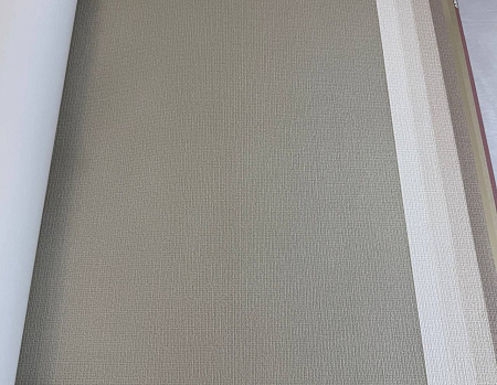  Alessandro Allori Bruni RBN1005-4