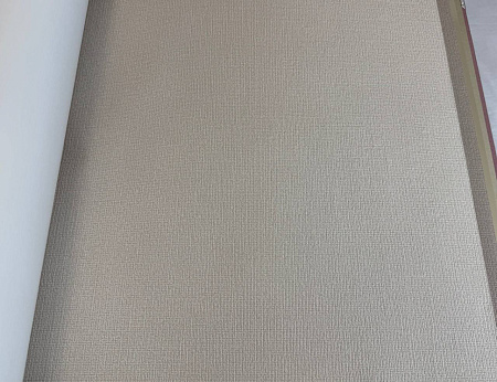  Alessandro Allori Bruni RBN1005-7