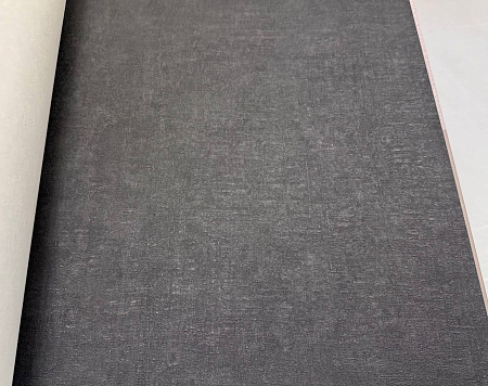 ���� Rasch Unitex 990423