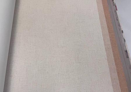 ���� Alessandro Allori Giorgio RGI 1004-13