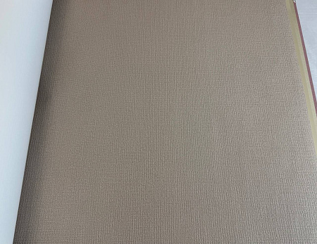  Alessandro Allori Bruni RBN1005-8