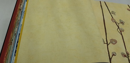  BN Wallcoverings Van Gogh 220078