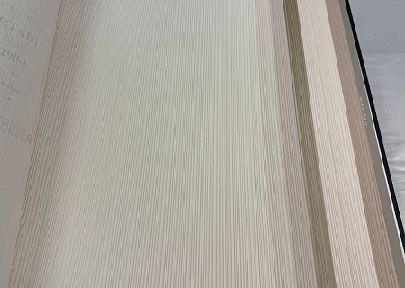 ���� Bernardo Bartalucci Artadi 84290-4