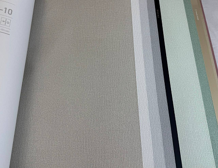  Alessandro Allori Bruni RBN1005-11