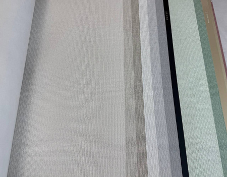  Alessandro Allori Bruni RBN1005-9