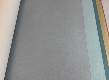  Alessandro Allori Bruni RBN1004-17