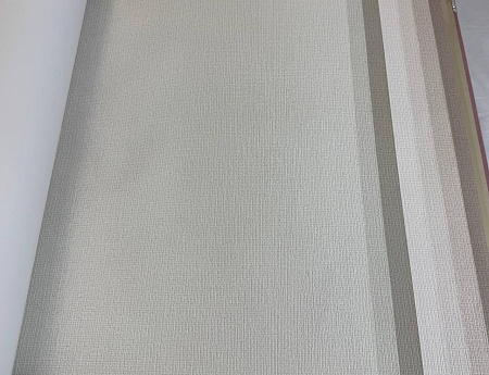  Alessandro Allori Bruni RBN1005-2