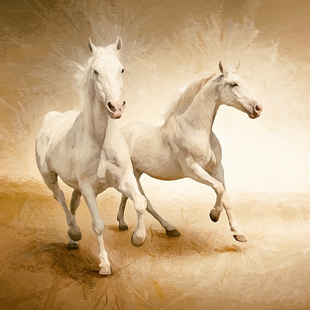 Фотообои Moda Interio Белые кони 3-704