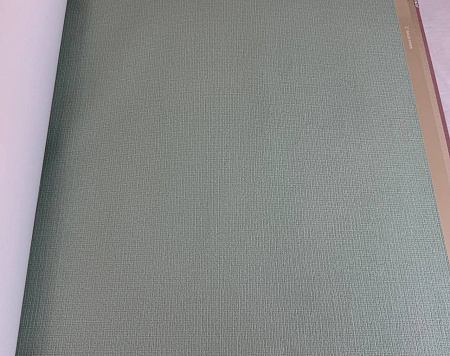  Alessandro Allori Bruni RBN1005-16