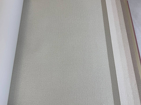  Alessandro Allori Bruni RBN1005-3