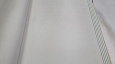 ���� Andrea Rossi Spectrum MAX 54361-2
