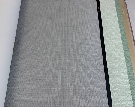  Alessandro Allori Bruni RBN1005-14