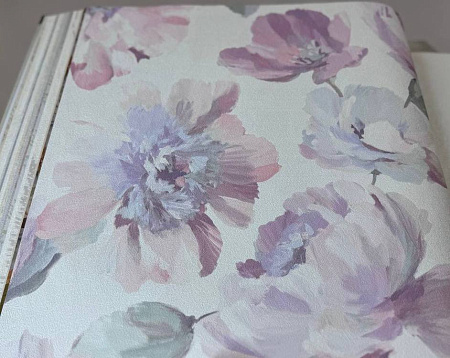 ���� Grandeco Universe 5 UI3101