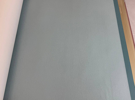  Alessandro Allori Bruni RBN1004-13