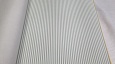 ���� Andrea Rossi Spectrum MAX 54365-5