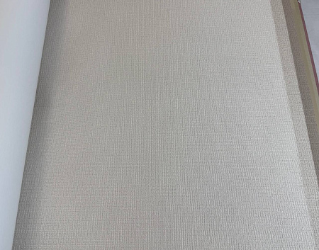  Alessandro Allori Bruni RBN1005-6