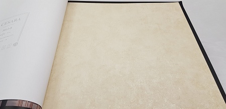 ���� Bernardo Bartalucci Cesara 5012-4