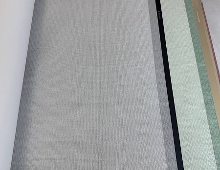  Alessandro Allori Bruni RBN1005-13