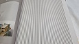 ���� Andrea Rossi Spectrum MAX 54365-8